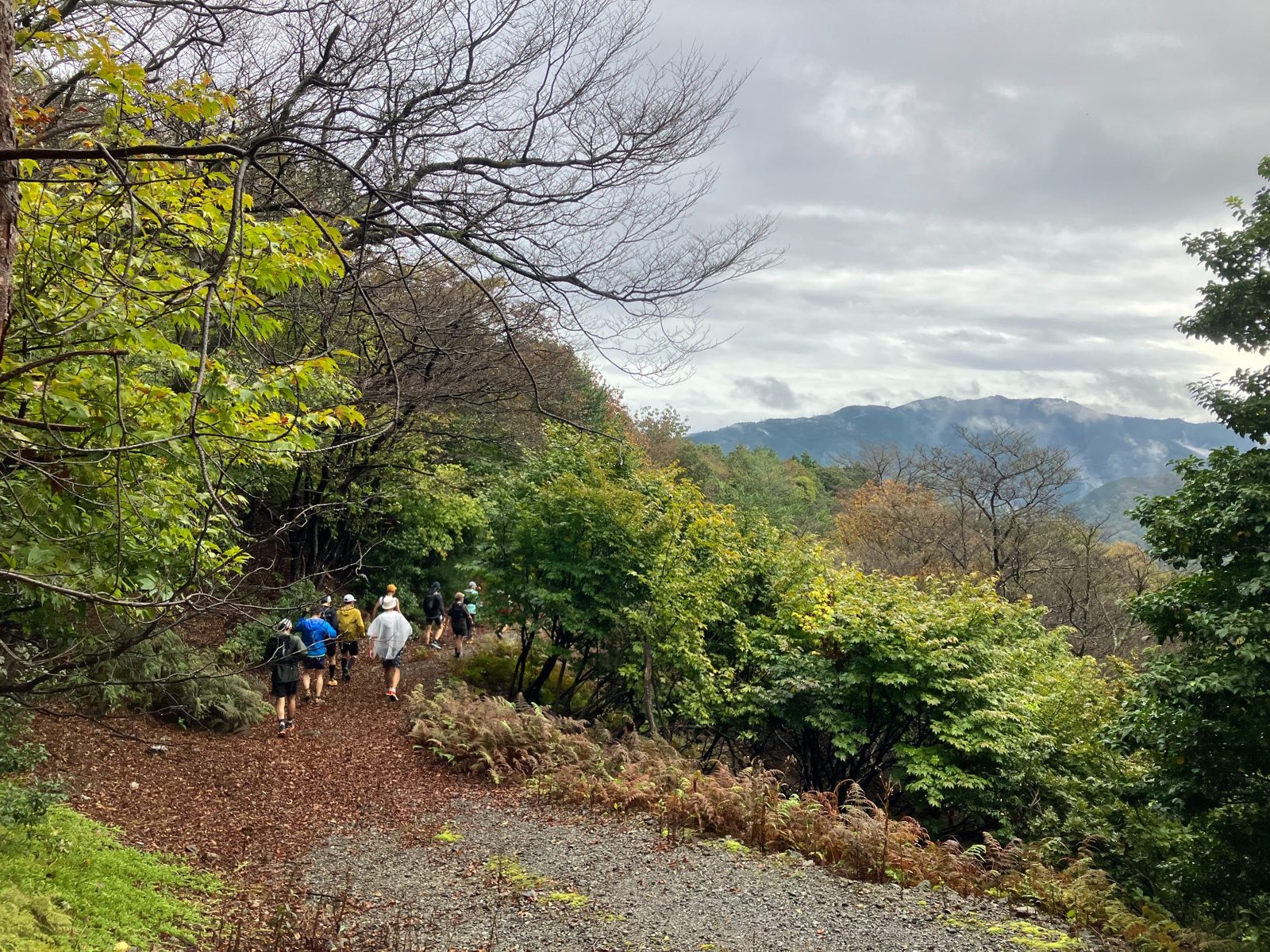 山の景色を楽しみながら林道を下ります。